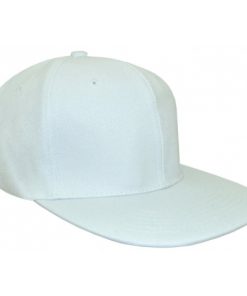 Alternative view of Directors Cap